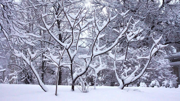 Stockholm Winter