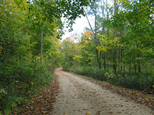 Rustic Road