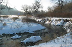 Rustic Trout Stream off Rustic Road